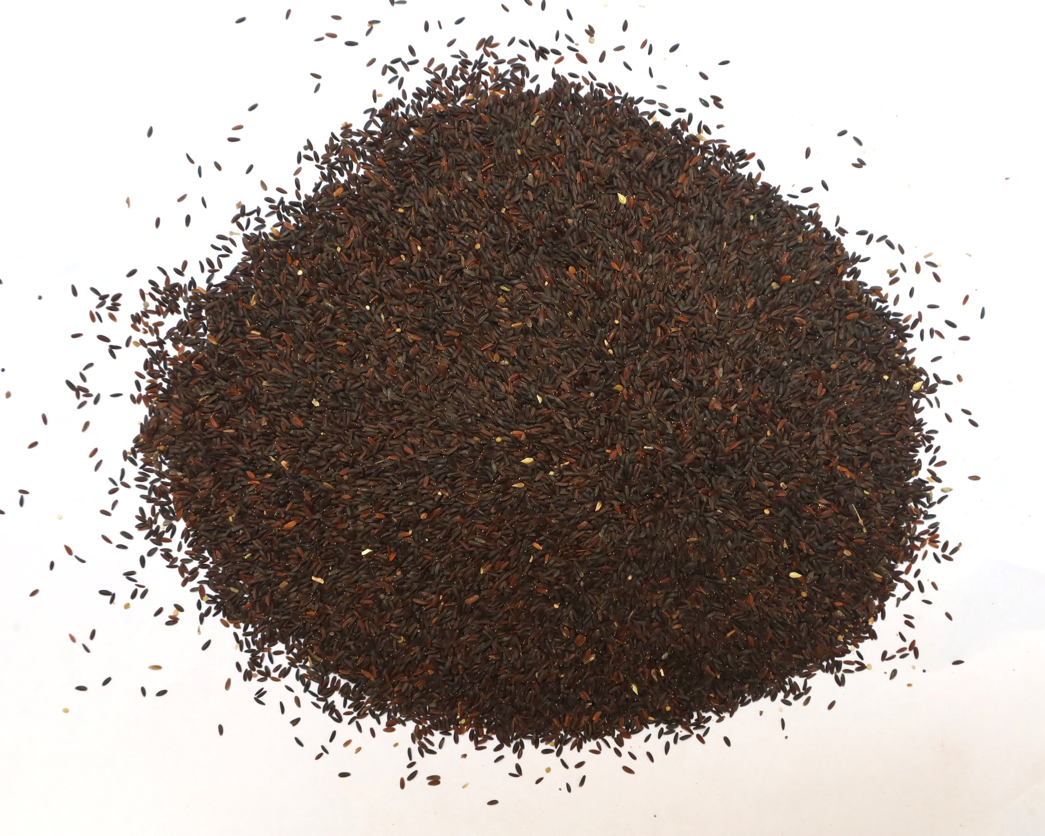 Basil Seeds